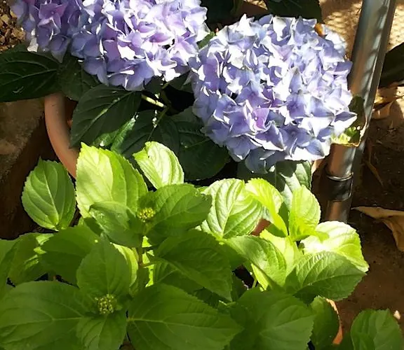 Koval Apartamento Orebić